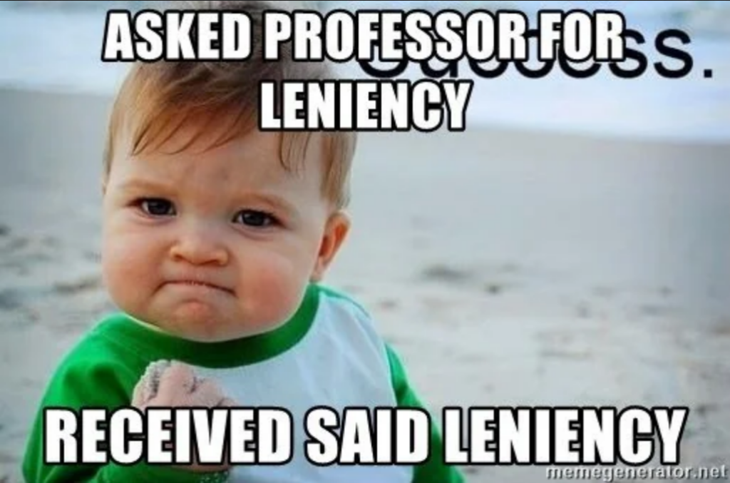 A meme of a baby with the words "Asked professor for leniency, received said leniency"