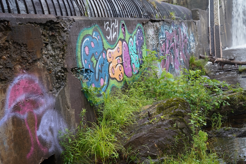 Photo of concrete covered in graffiti, image was taken low to the ground and there are some shrubs along the bottom of the concrete connecting to the ground, there is water falling in the top right corner.