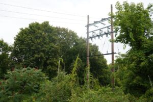 Some sort of electrical structure surrounded by nature. 