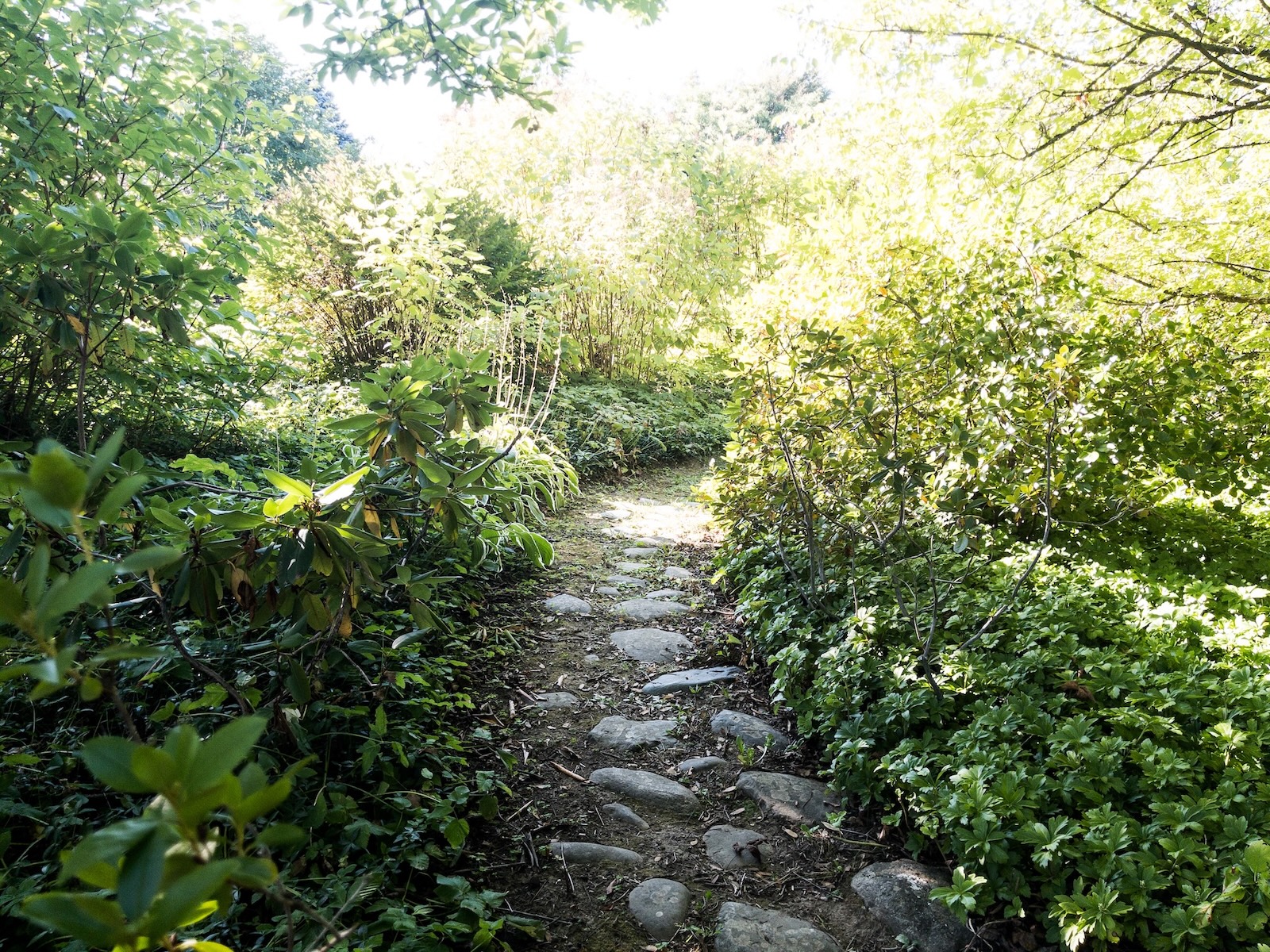 Shaded path