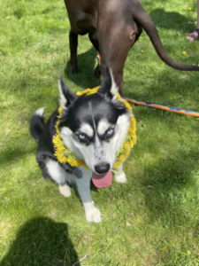 Addy with dandelion necklace