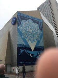 The New England Aquarium from the outside, a stainless steel-clad building with a dazzling mural of a right whale and an ornate blue mandala . . . and my thumb in the corner, because I was too excited to notice it was on the lens.