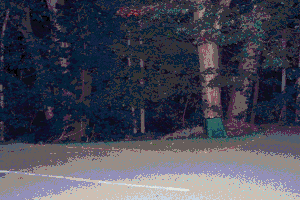 A photo of a dark forest at night, in the foreground is a section of parking lot and an upside-town trash bin. Image has been heavily compressed.