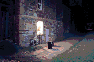 A cobblestone building at night with a single lit window shining light onto a garbage bin with a plane growing inside of it. Image has been heavily compressed.