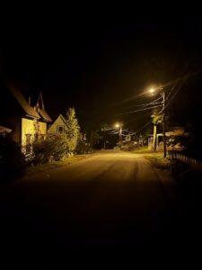 A cozy road lit by streetlights at night