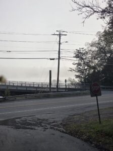 foggy day on the river