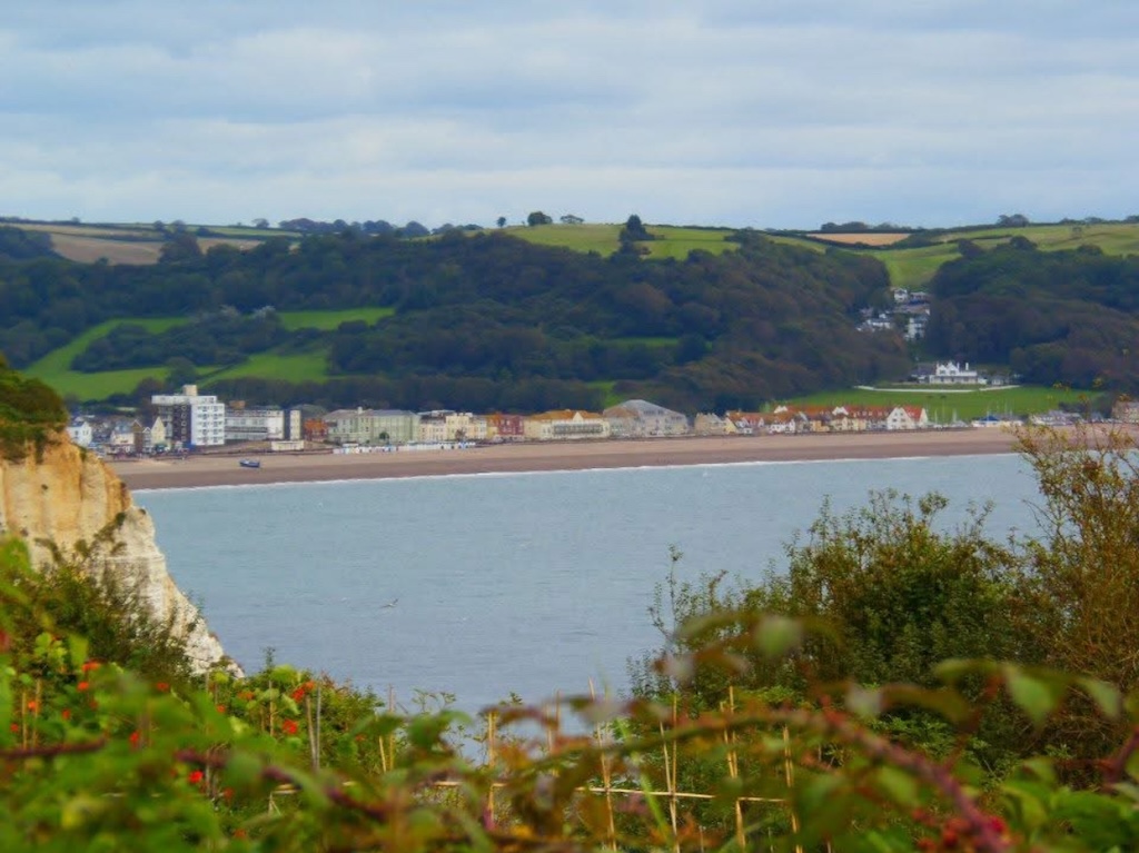 Landscape photo of a coastal beach town called Seaton.