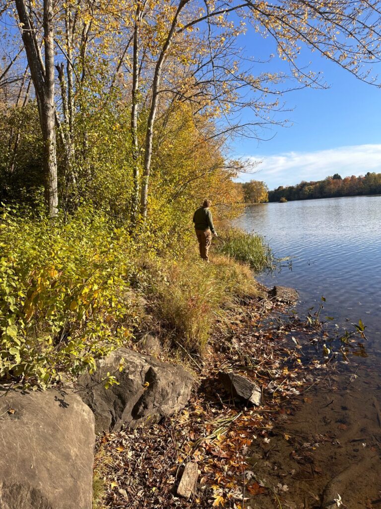 The Stillwater