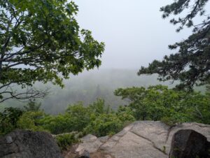 Photo taken of from the top of the hike