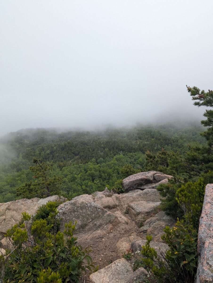Another lookout photo from halfway up