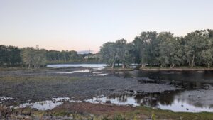 Low water level in the river