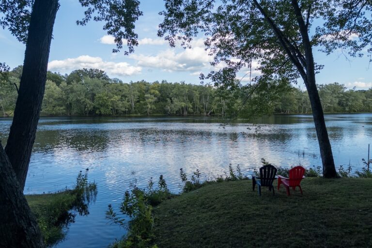 Two colorful miniature chairs sit side-by-side along the bank of a river in a wooded area.