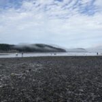 Fog, Bar Harbor, Maine