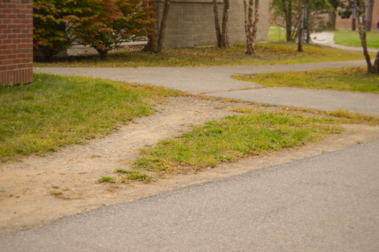 Photograph of a desire path