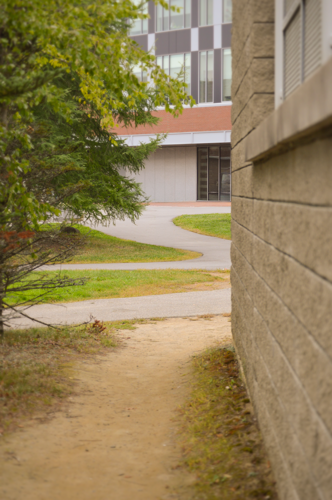 Photograph of a desire path showing a narrow path between trees and a building