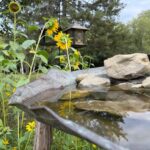a man-made birdbath surrounded with sunflowers