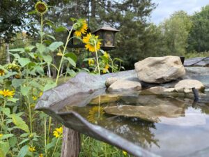a man-made birdbath surrounded with sunflowers