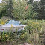 an abandonded boat covered in overgrowth surrounded by tall bushes
