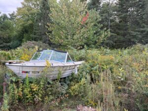 an abandonded boat covered in overgrowth surrounded by tall bushes