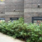 three advertisements hidden behinds bushes