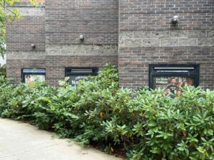 three advertisements hidden behinds bushes